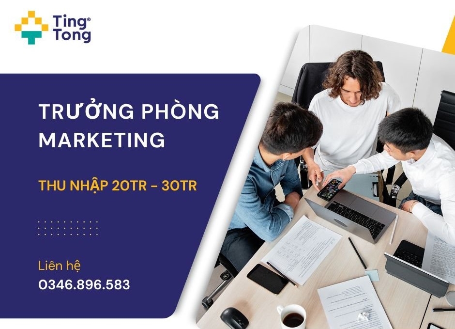 TingTong tuyển dụng vị trí Trưởng phòng Marketing